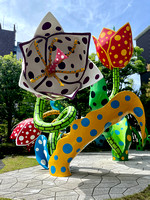 Kusama has lived in the US for a long time but is from Matsumoto