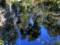 Reflection in the water at Lake Ellery