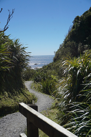 Path to the beach at Jackson's Bay