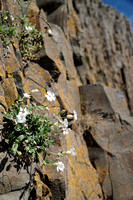 Stykkishólmur cliffs