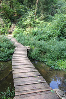Boardwalk over the stream at the bottom