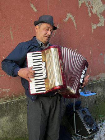 Accordion player (yes, we paid him)