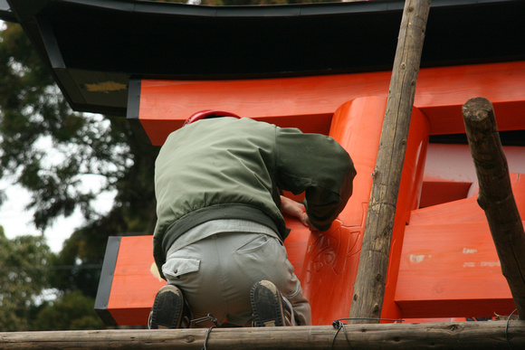 Fushimi Inari Shrine (it's a tough job, but someone has to do it)