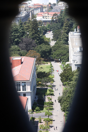 Looking down from the campanile on the Cal campus