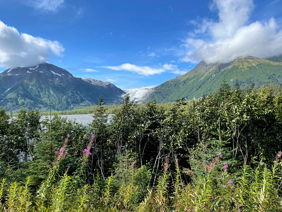 Hiking on the Exit Glacier Trail