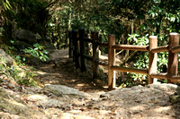 The path up Mt. Misen