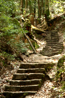 The path up Mt. Misen...lots of stairs