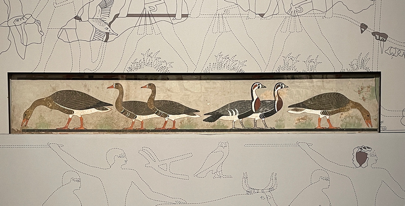 Inside the Egyptian Museum: Medium Geese, a painting that depicts a species of goose that lived 4,600 years ago. It was discovered in a tomb near the Medium pyramid.