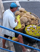Busy selling sponges to tourists on the waterfront