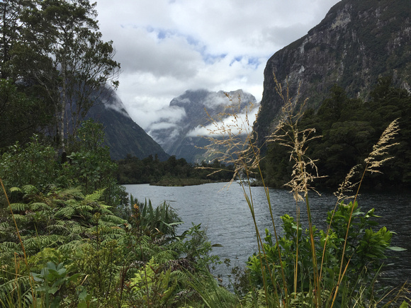 View towards Milford Sound from Sandfly Point