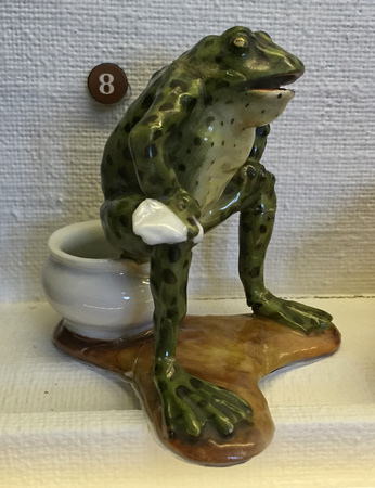 Nordiska museet...and a frog on a toilet
