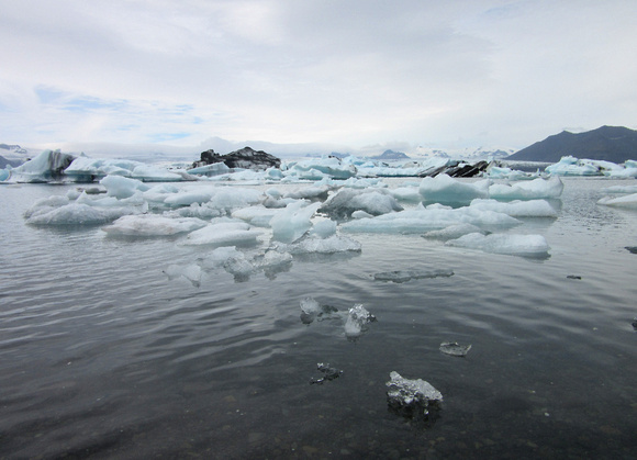 Jökulsárlón glacial lagoon, ice of all sizes