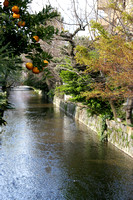 Canal in Kyoto; I was surprised to see fruit...