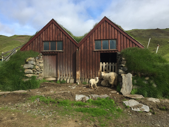The sheep houses