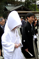Kamakura: wedding ceremony at Tsurugaoka Hachiman-gu