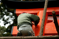 Fushimi Inari Shrine (it's a tough job, but someone has to do it)