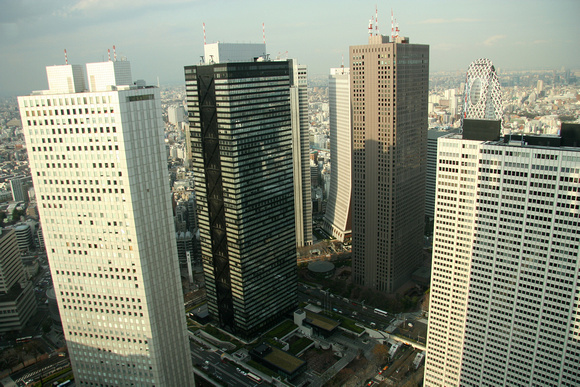 Shinjuku from the Metropolitan Government South Tower