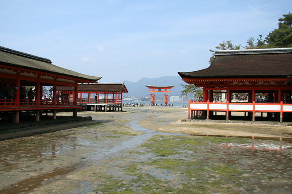 Itsukushima-jinja Shrine at low tide