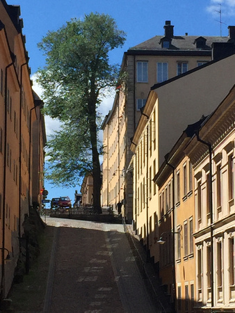 One of our favorite areas...the quite part of Sodermalm just off the cliff walk