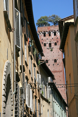 Lucca: Torre Guinigi (oak trees growing on top)