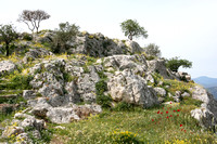 Mycenae bathed in wildflowers