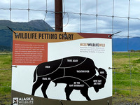 At the Alaska Wildlife Conservation Center, a wildlife refuge south of Girdwood